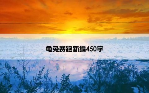 龟兔赛跑新编450字