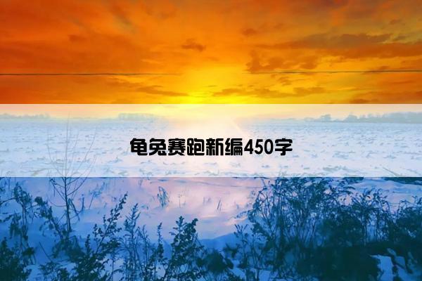 龟兔赛跑新编450字