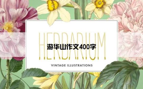 游华山作文400字