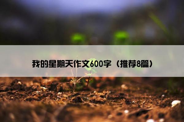 我的星期天作文600字（推荐8篇）