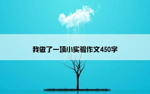 我做了一项小实验作文450字