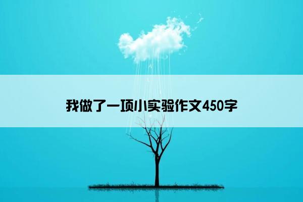 我做了一项小实验作文450字