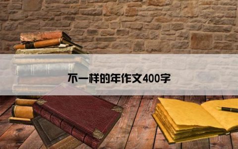 不一样的年作文400字