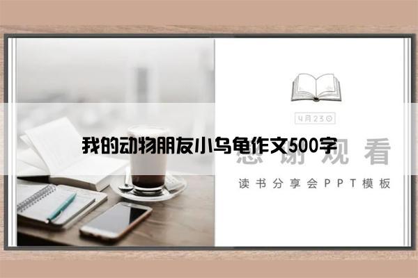 我的动物朋友小乌龟作文500字