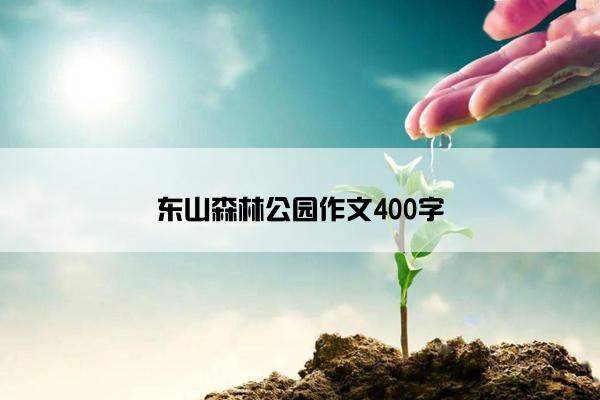 东山森林公园作文400字