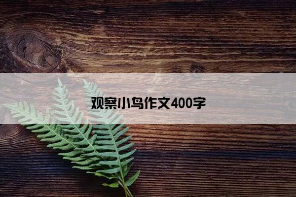 观察小鸟作文400字