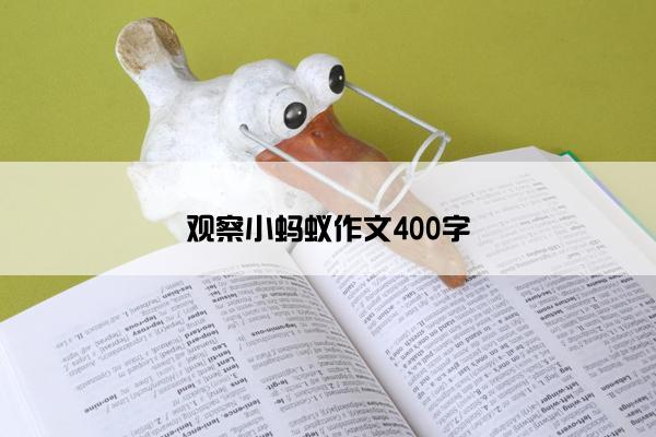 观察小蚂蚁作文400字