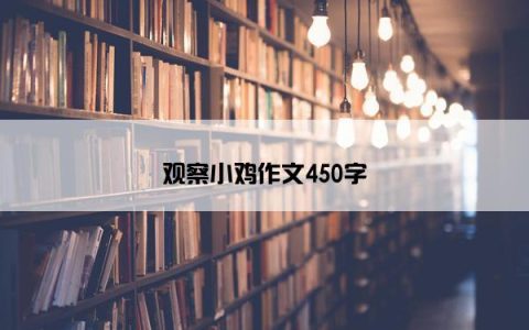 观察小鸡作文450字