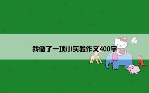 我做了一项小实验作文400字