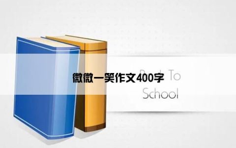 微微一笑作文400字