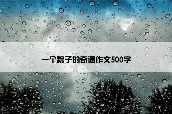 一个粽子的奇遇作文500字