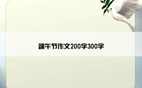 端午节作文200字300字