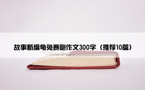 故事新编龟兔赛跑作文300字（推荐10篇）