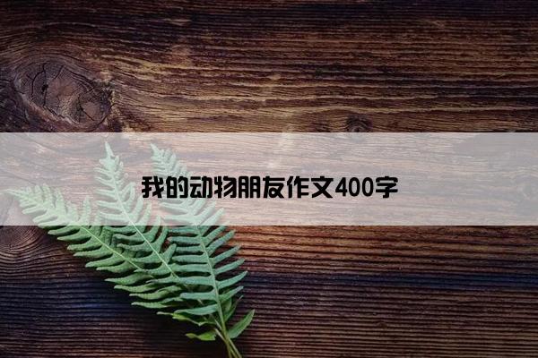 我的动物朋友作文400字