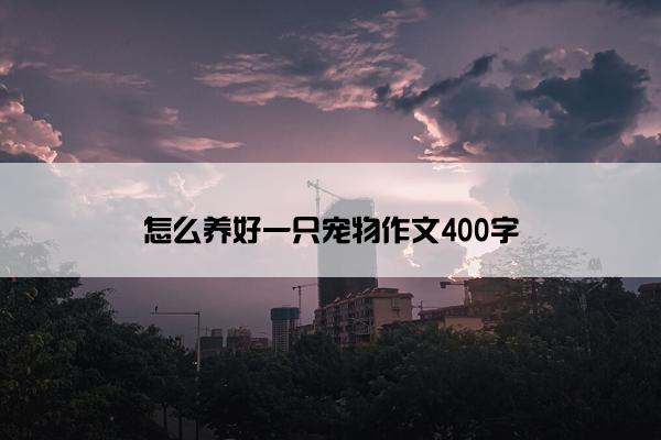 怎么养好一只宠物作文400字