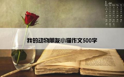 我的动物朋友小猫作文500字