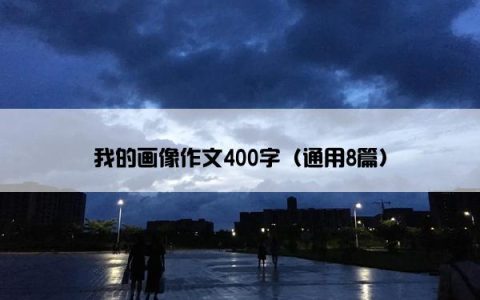 我的画像作文400字（通用8篇）