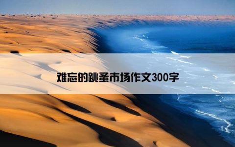 难忘的跳蚤市场作文300字