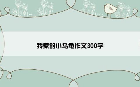 我家的小乌龟作文300字