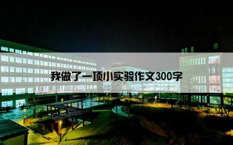 我做了一项小实验作文300字