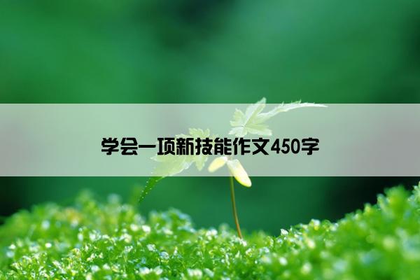 学会一项新技能作文450字