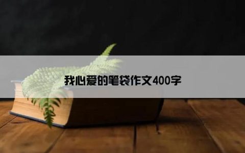我心爱的笔袋作文400字