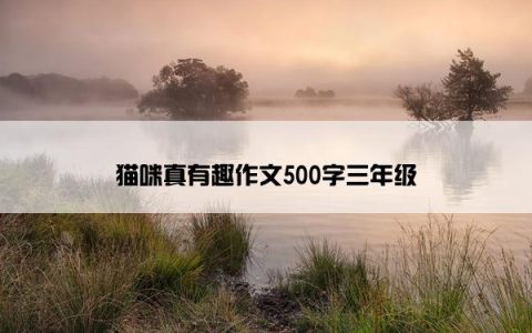 猫咪真有趣作文500字三年级