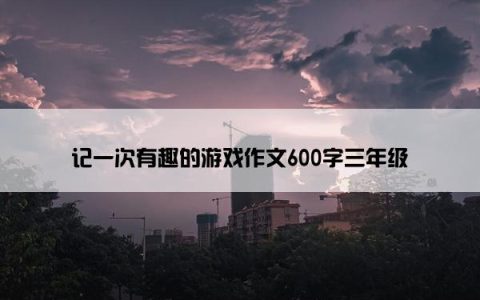 记一次有趣的游戏作文600字三年级