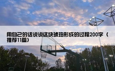 用自己的话说说这块琥珀形成的过程200字（推荐11篇）