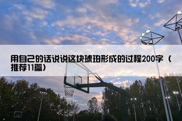 用自己的话说说这块琥珀形成的过程200字（推荐11篇）