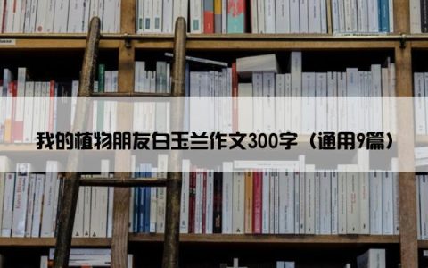 我的植物朋友白玉兰作文300字（通用9篇）