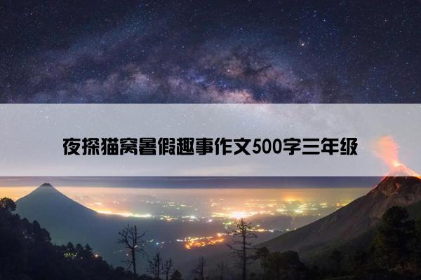 夜探猫窝暑假趣事作文500字三年级