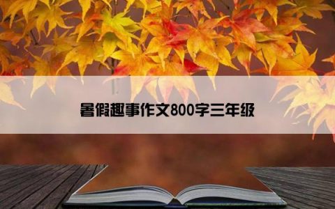 暑假趣事作文800字三年级