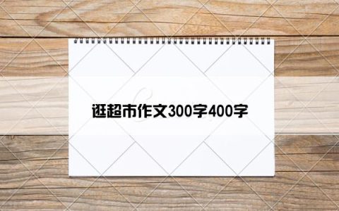 逛超市作文300字400字