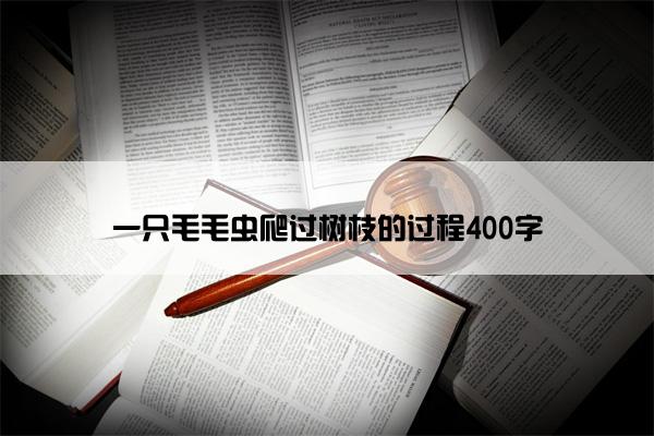 一只毛毛虫爬过树枝的过程400字