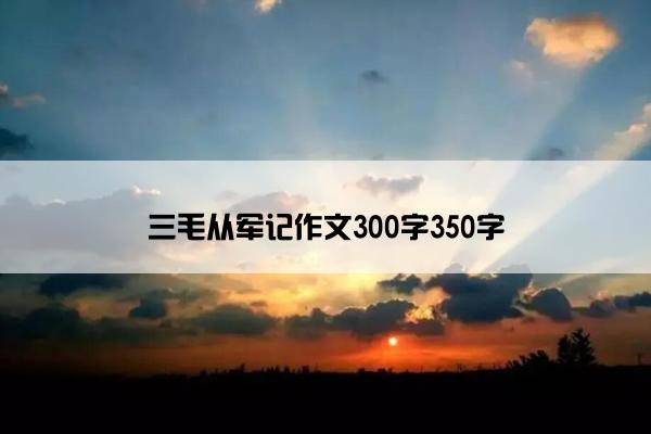 三毛从军记作文300字350字