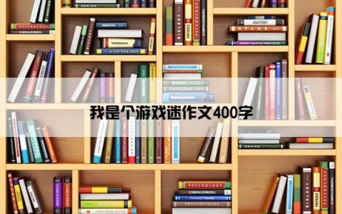 我是个游戏迷作文400字