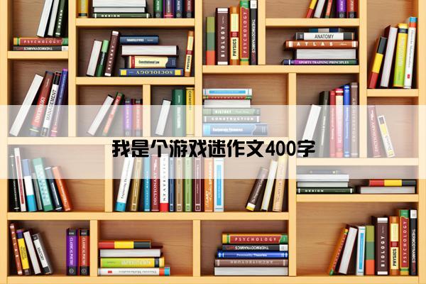 我是个游戏迷作文400字