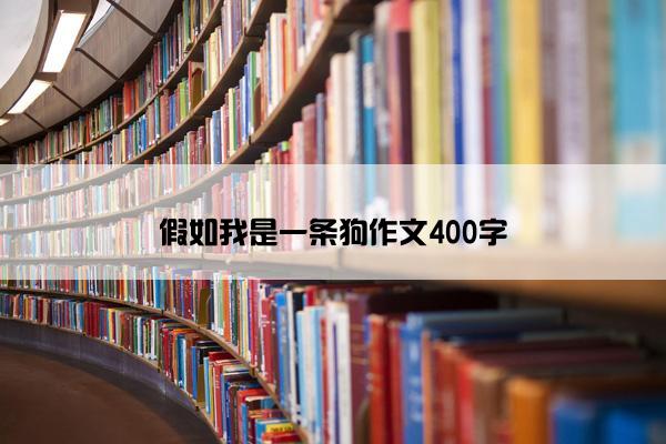 假如我是一条狗作文400字