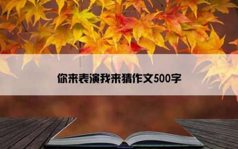 你来表演我来猜作文500字