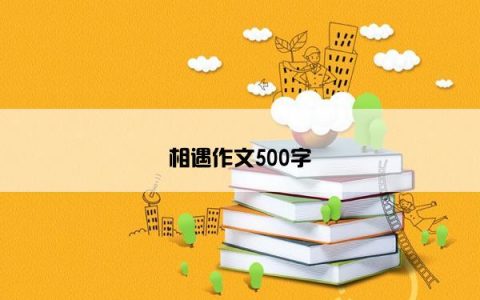 相遇作文500字