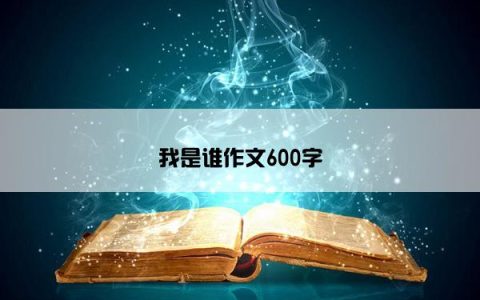 我是谁作文600字