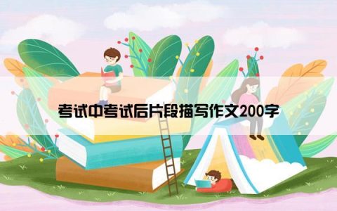 考试中考试后片段描写作文200字