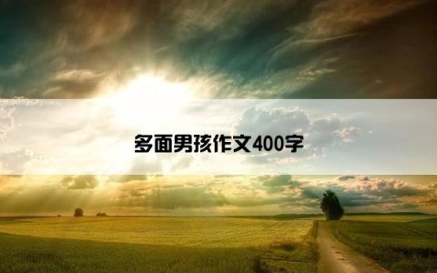 多面男孩作文400字