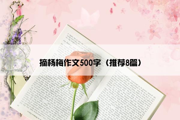 摘杨梅作文500字（推荐8篇）