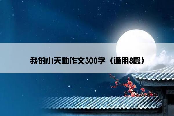 我的小天地作文300字（通用8篇）