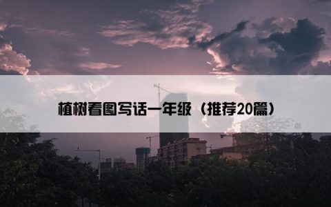 植树看图写话一年级（推荐20篇）