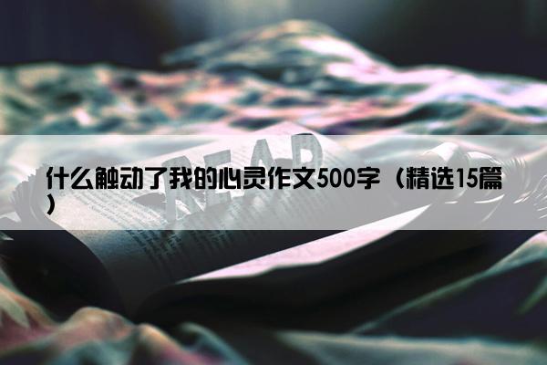 什么触动了我的心灵作文500字（精选15篇）