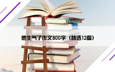 他生气了作文800字（精选12篇）