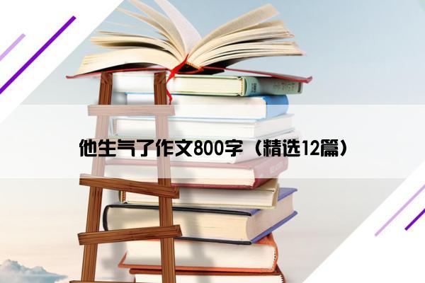 他生气了作文800字（精选12篇）